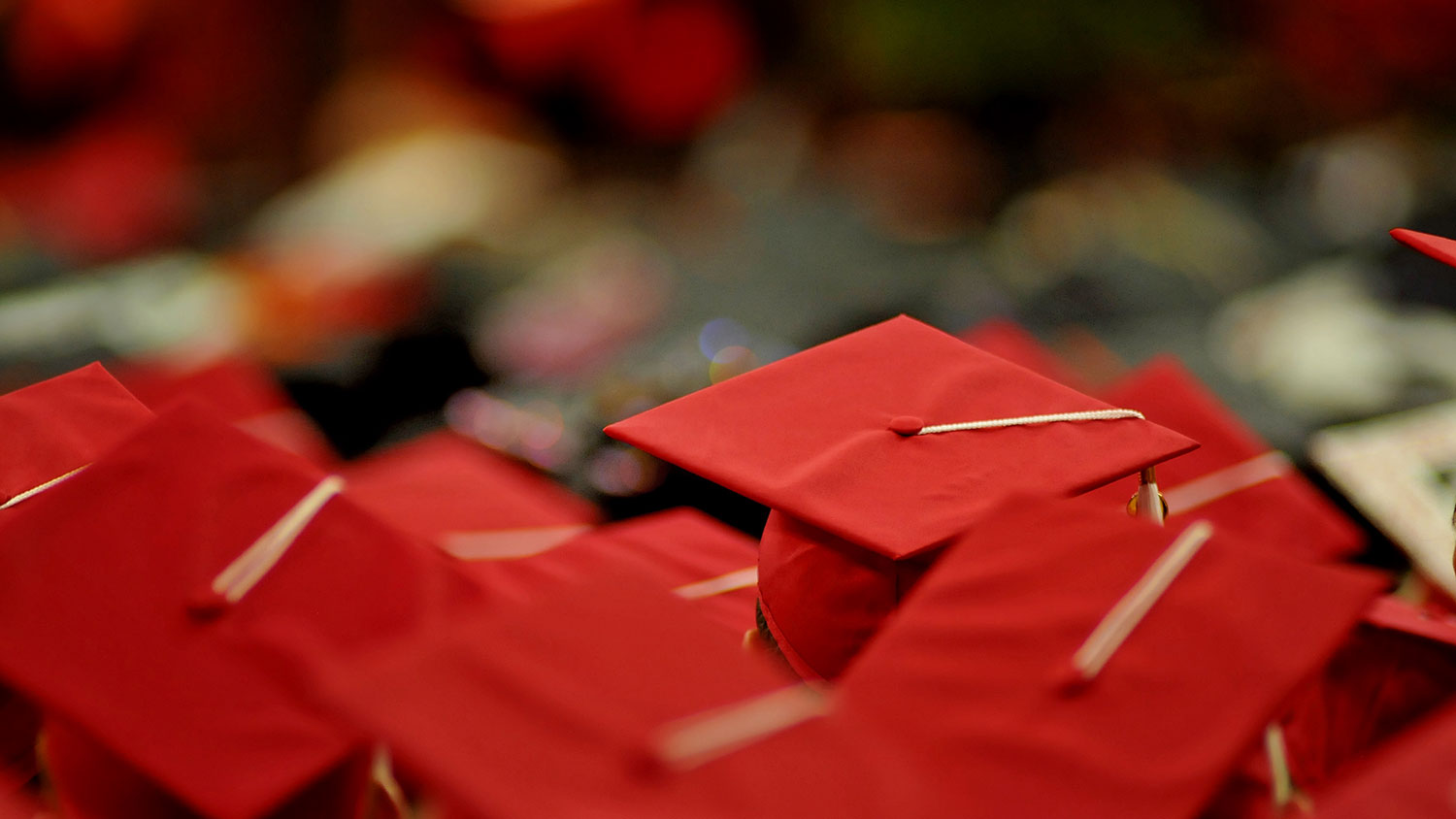 Graduation Image